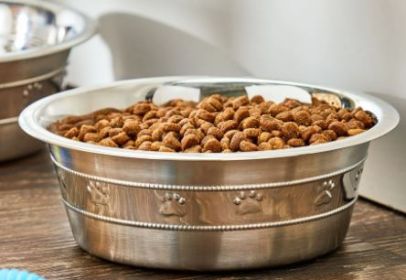 Vibrant Life Stainless Steel Paw & Beads Imprint Dog Bowl Medium